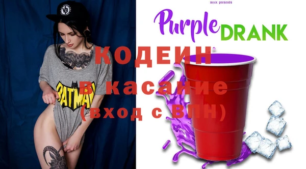 индика Алексин