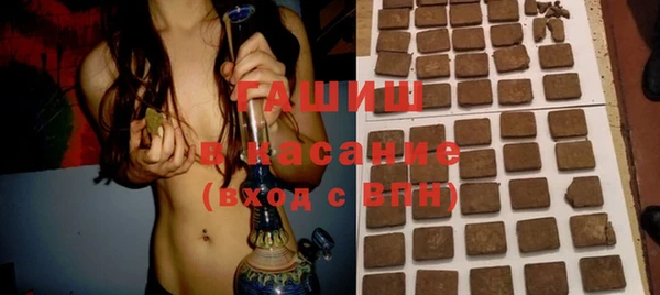 индика Алексин