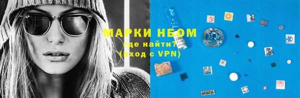индика Алексин