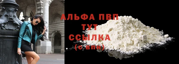 индика Алексин