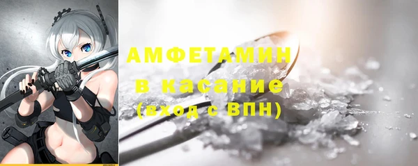индика Алексин