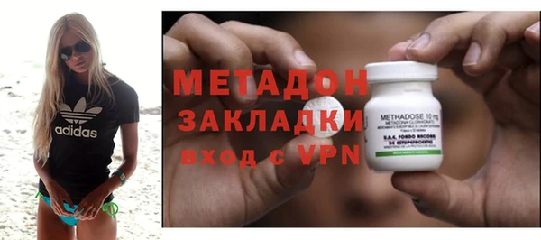 индика Алексин
