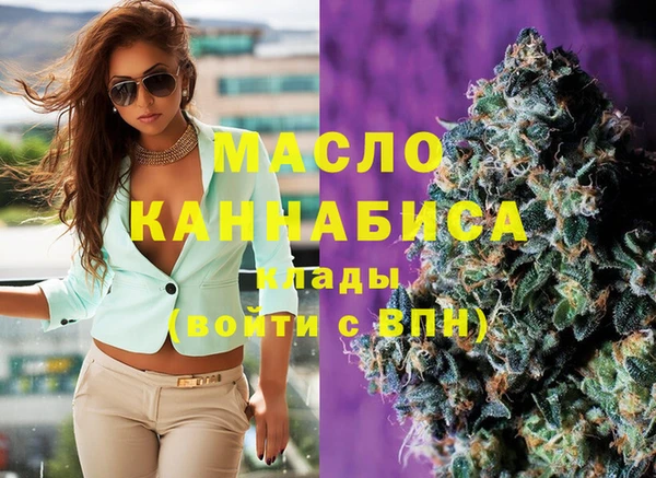 индика Алексин