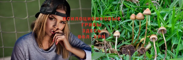 эйфоретик Алексеевка