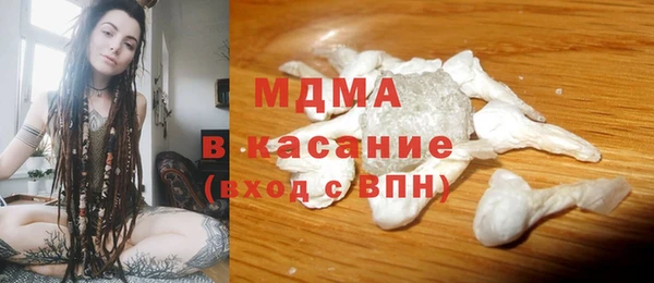индика Алексин