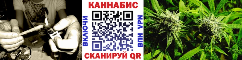 Шишки марихуана SATIVA & INDICA  Суджа 
